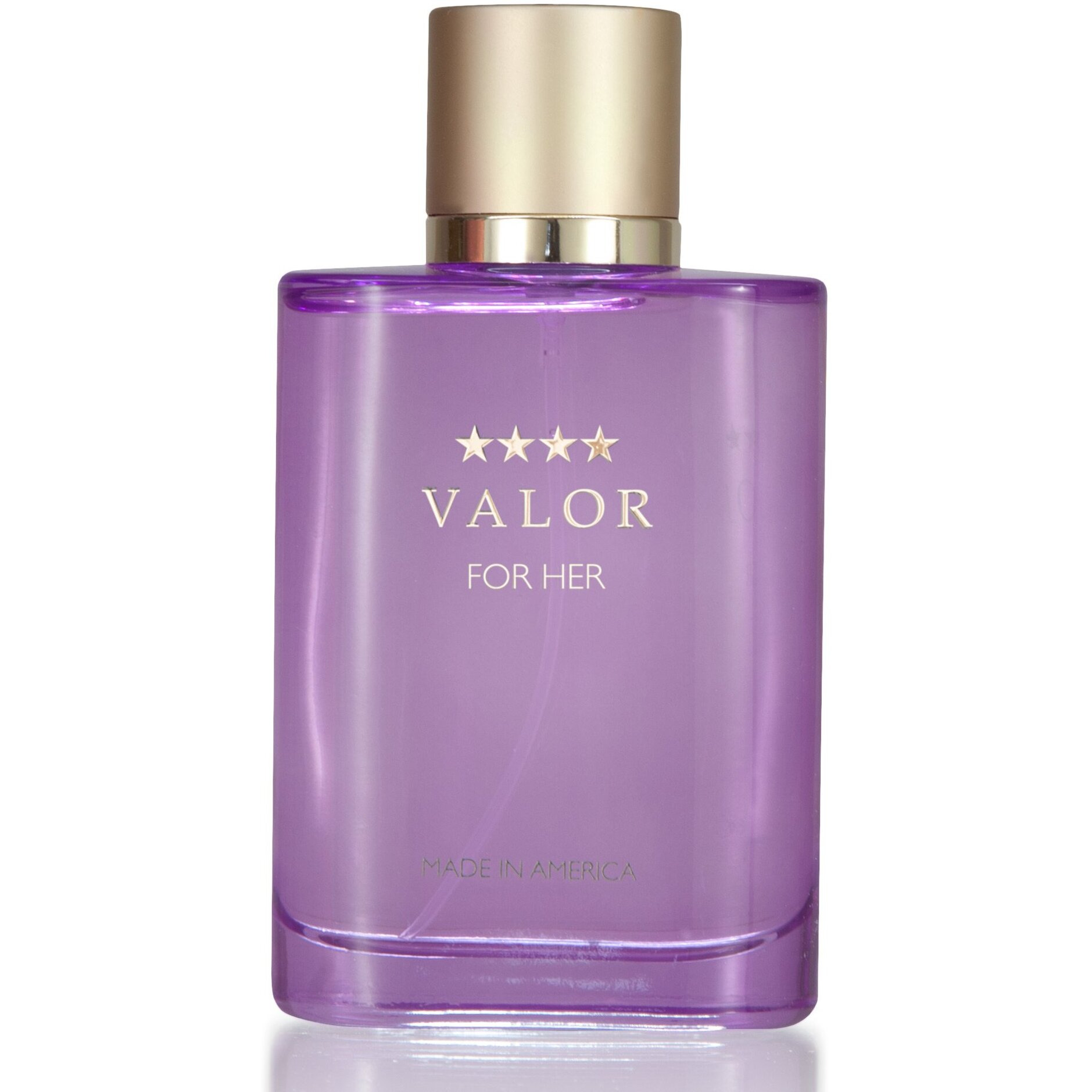 Valor by Dana Eau De Toilette Spray 3.4 oz(D0102HAXJWA.)