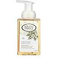 South Of France Hand Soap - Foaming - Blooming Jasmine - 8 oz - 1 each