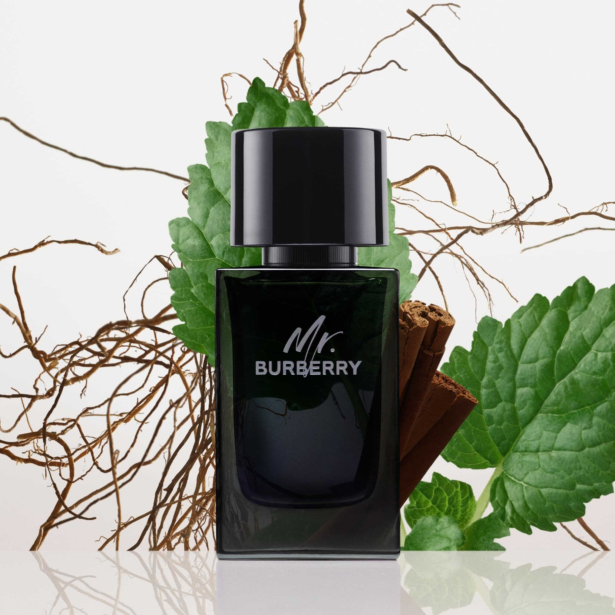 Mr Burberry by Burberry Eau De Parfum Spray 1.6 oz(D0102HA7QVW.)