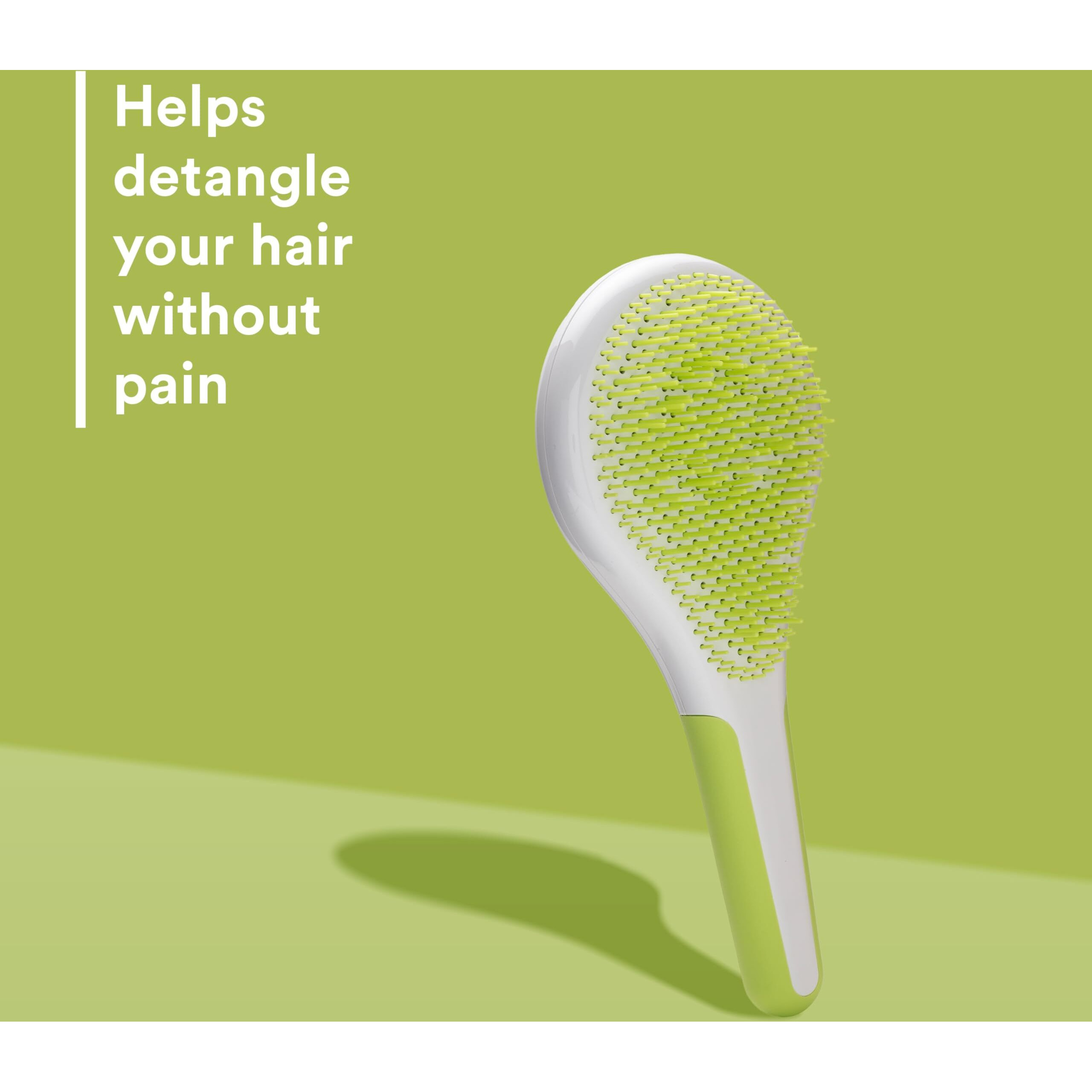 Wet and Dry Hair Detangler Regular Hair - Green-White by Michel Mercier for Women - 1 Pc Hair Brush