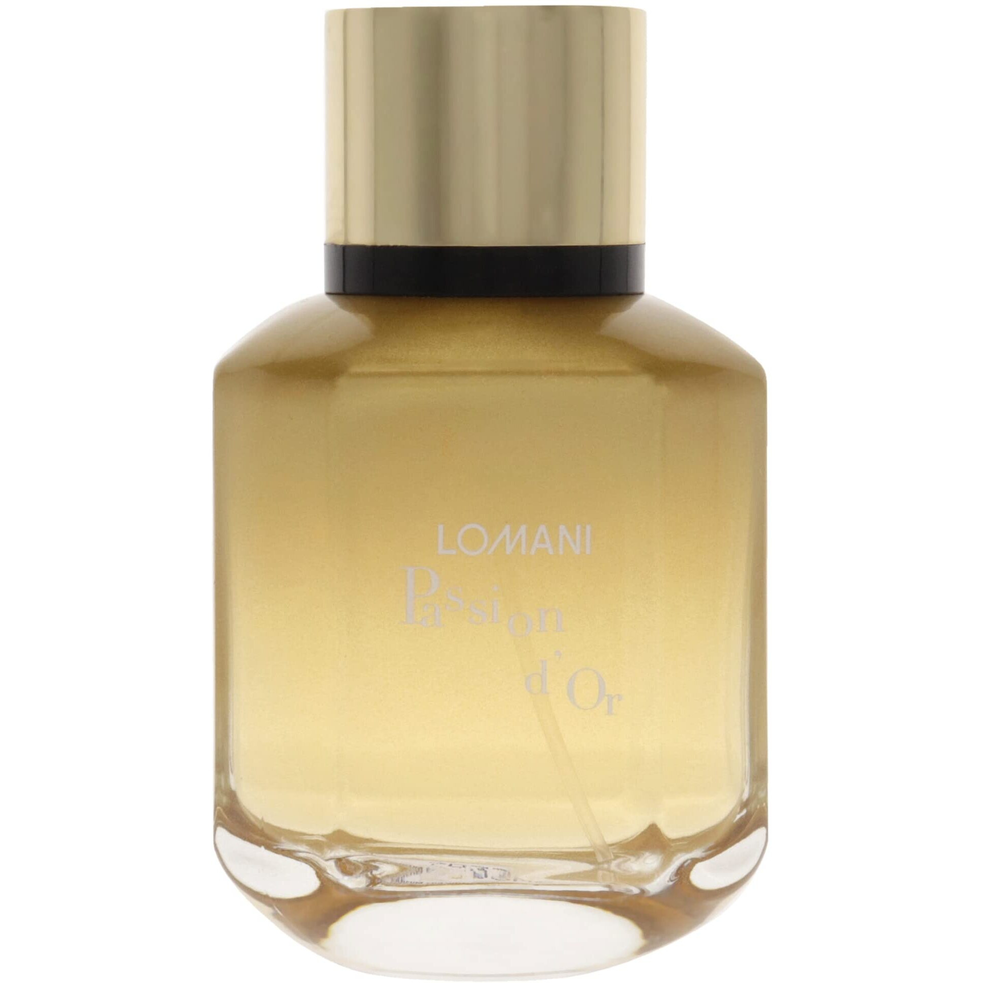 Lomani Passion Dor by Lomani for Women - 3.3 oz EDP Spray