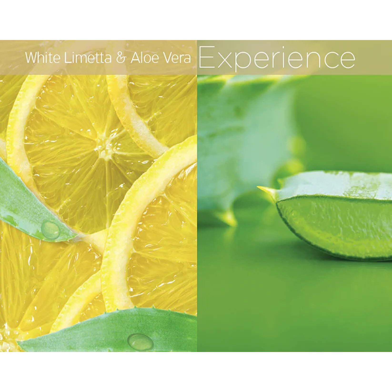 Butter Babies - White Limetta and Aloe Vera by Cuccio Naturale for Unisex - 1.5 oz Body Lotion