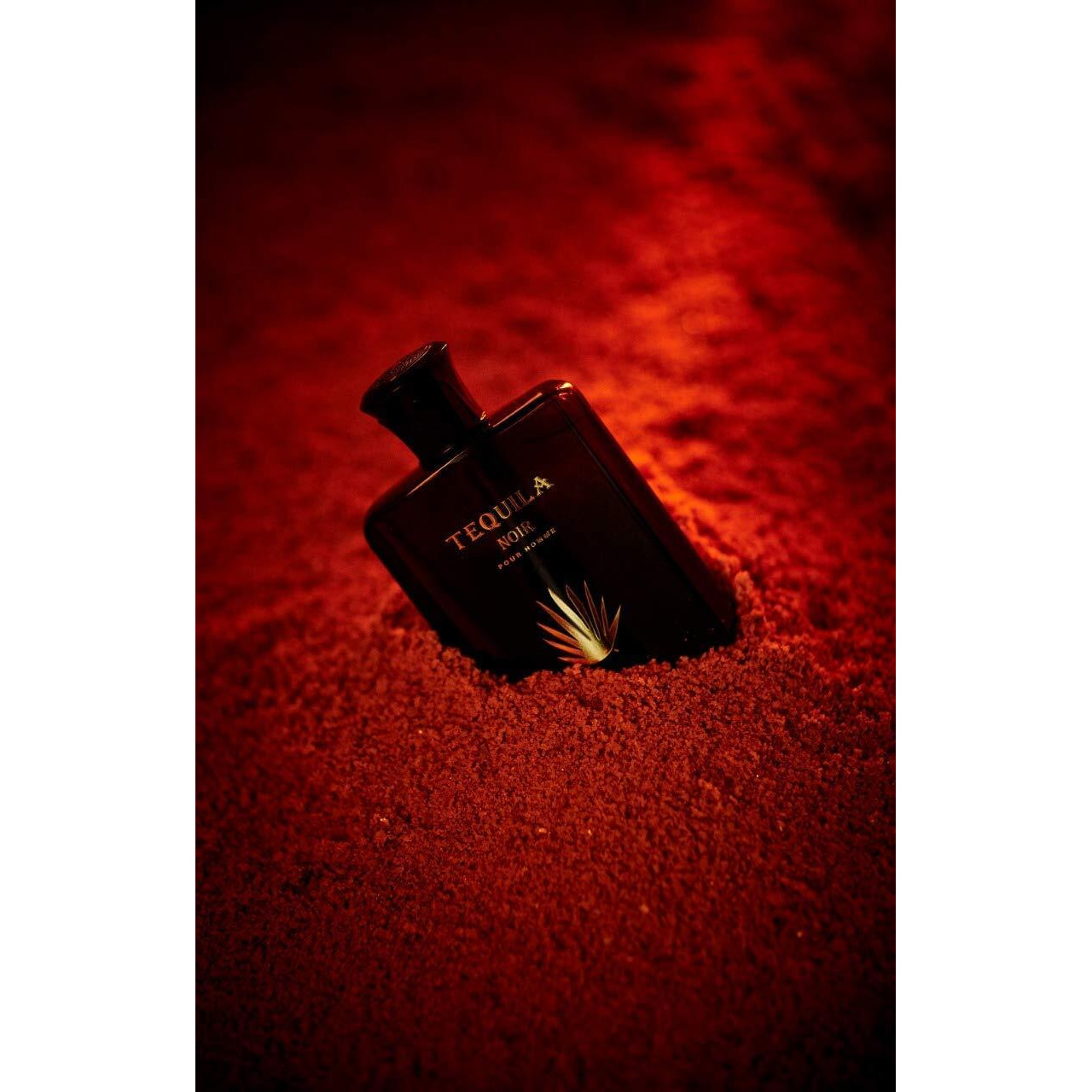 Tequila Pour Homme Noir by Tequila Perfumes Eau De Parfum Spray(D0102HA9WMV)