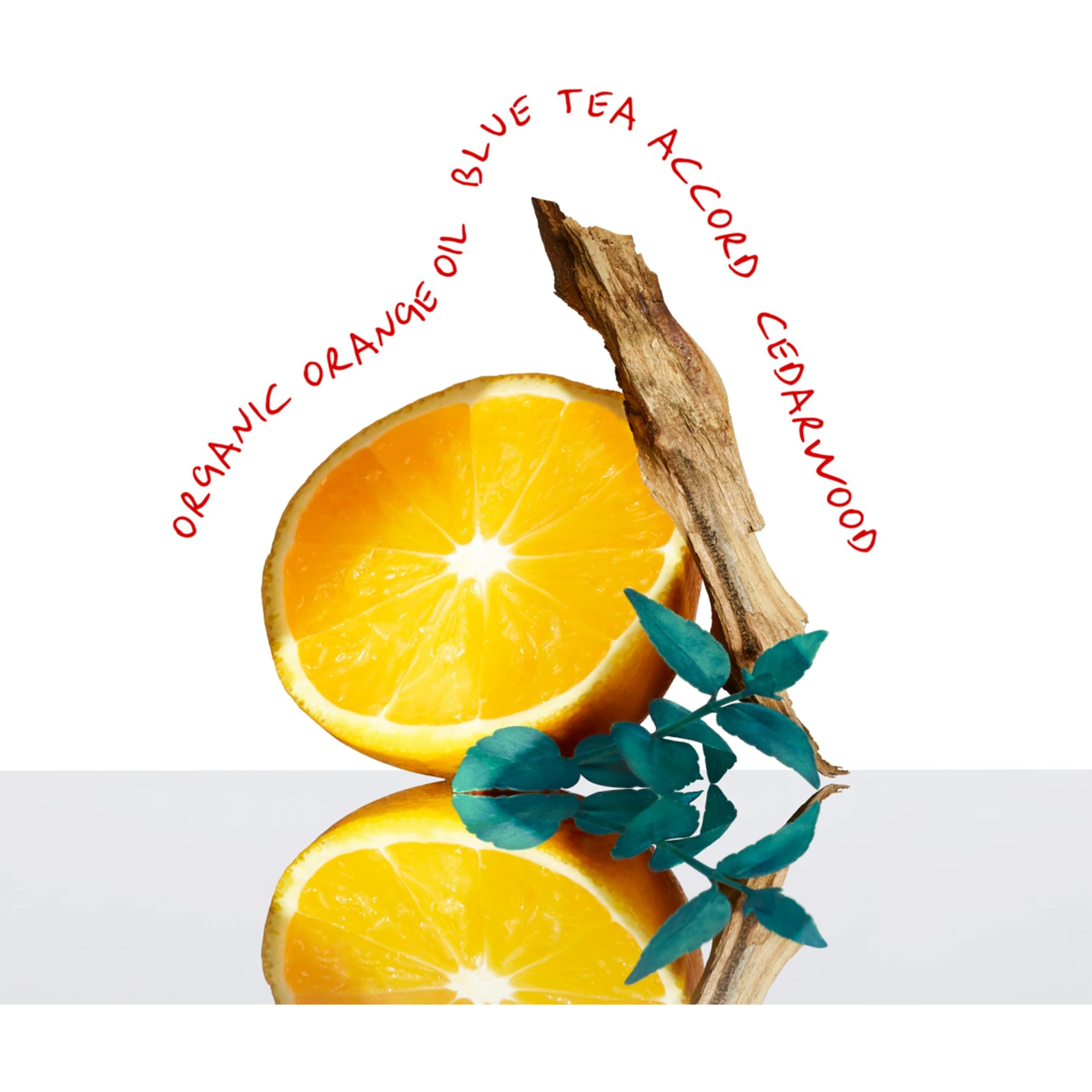 CK Everyone by Calvin Klein Eau De Toilette Spray (Unisex) 3.3 oz(D0102HA55PA.)