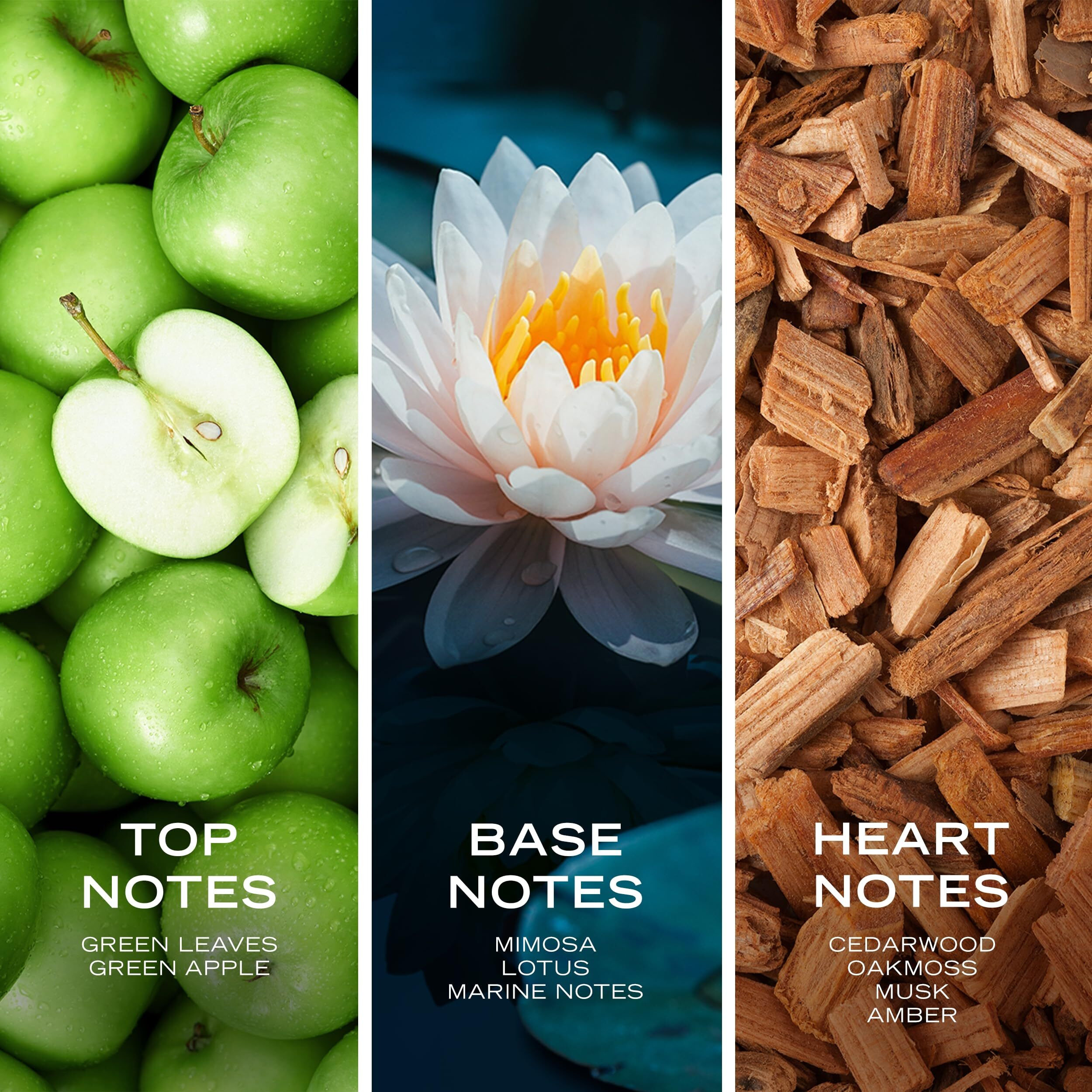 Nautica Voyage by Nautica Eau De Toilette Spray(D0102HA9D7A)