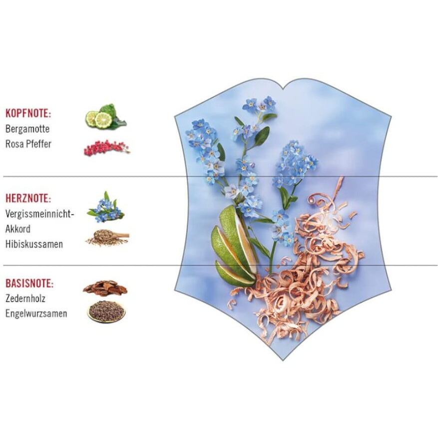 Victorinox Forget Me Not by Swiss Army for Women - 3.4 oz EDT Spray