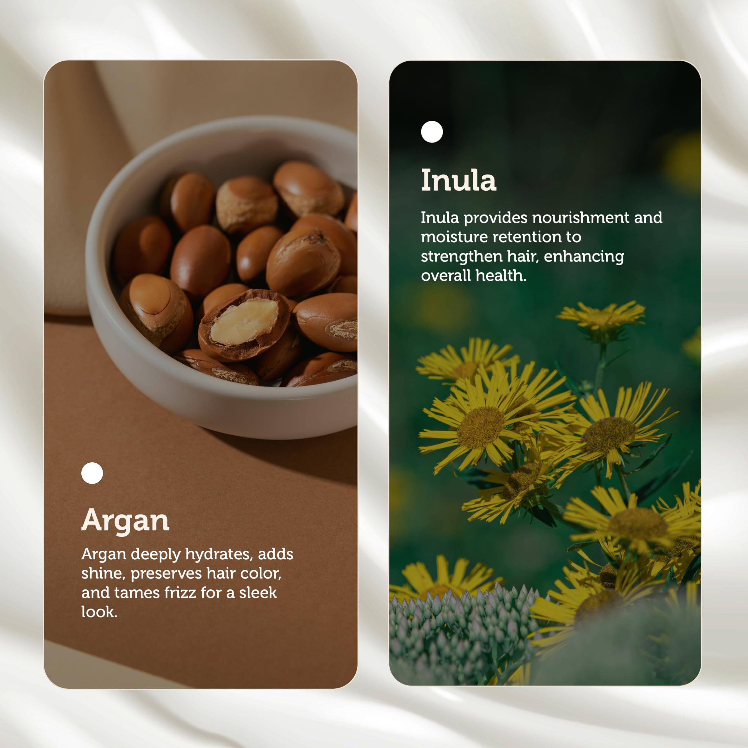 Inula Plus Argan Max Shine Color Preserving Conditioner by e.fek.tiv for Unisex - 8 oz Conditioner