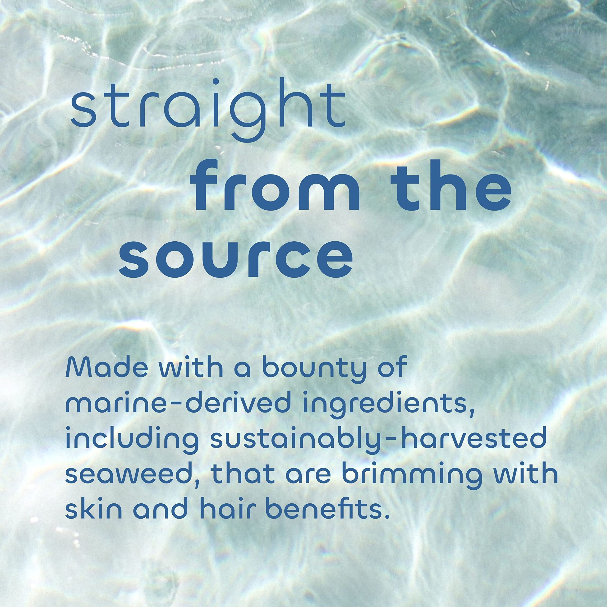 Seaweed Bath Co. Melt-In Water Lotion, Coconut Water Scent, 4 Ounce, Sustainably Harvested Seaweed, Sea Grape, Beta-Glucan