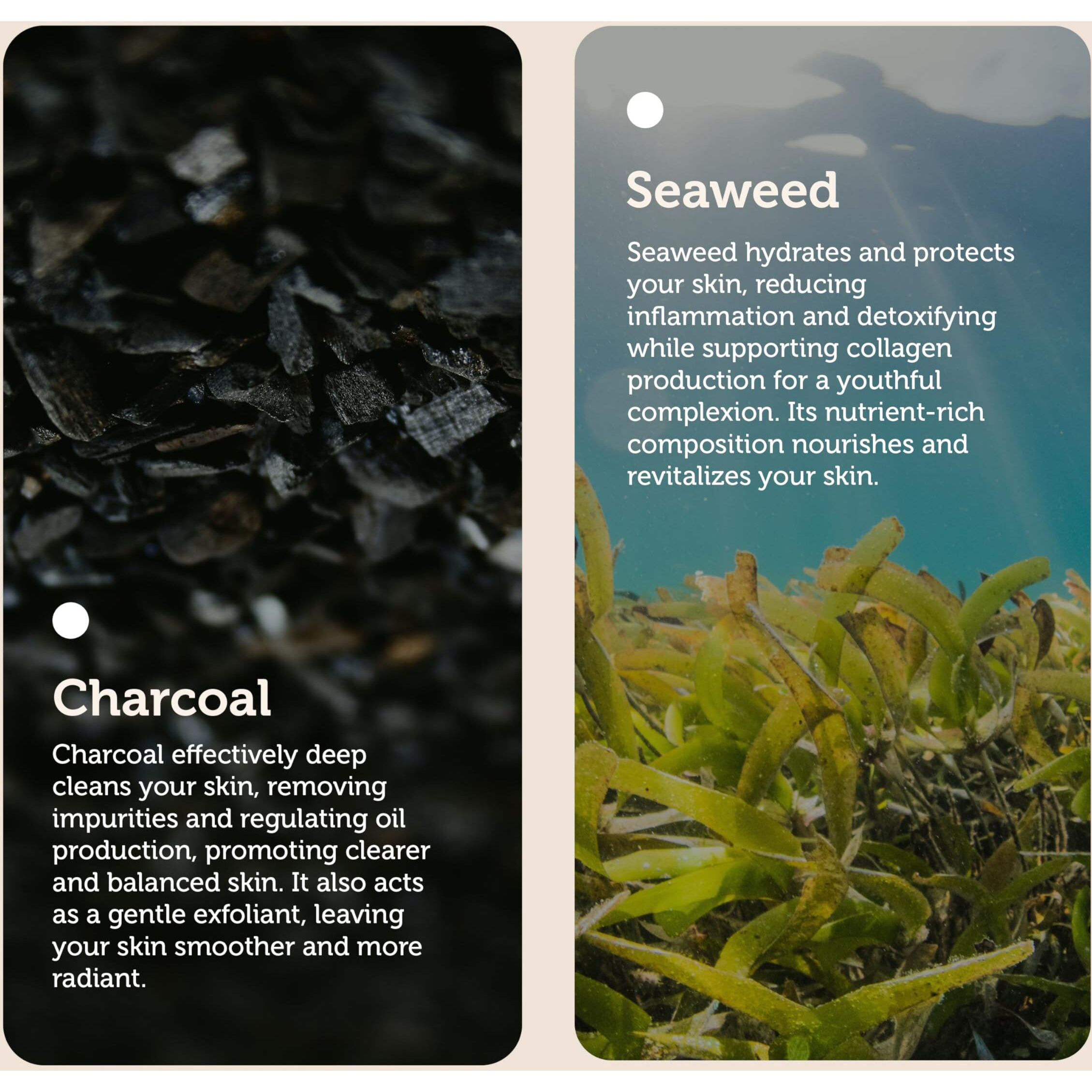 Charcoal Burst Plus Seaweed Purifying Facial Cleanser by e.fek.tiv for Unisex - 6 oz Cleanser