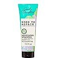 Carol's Daughter Born To Repair Nourishing Shampoo, Sulfate-Free Hair Care for Curly Hair with Shea Butter, 11 Fl Oz