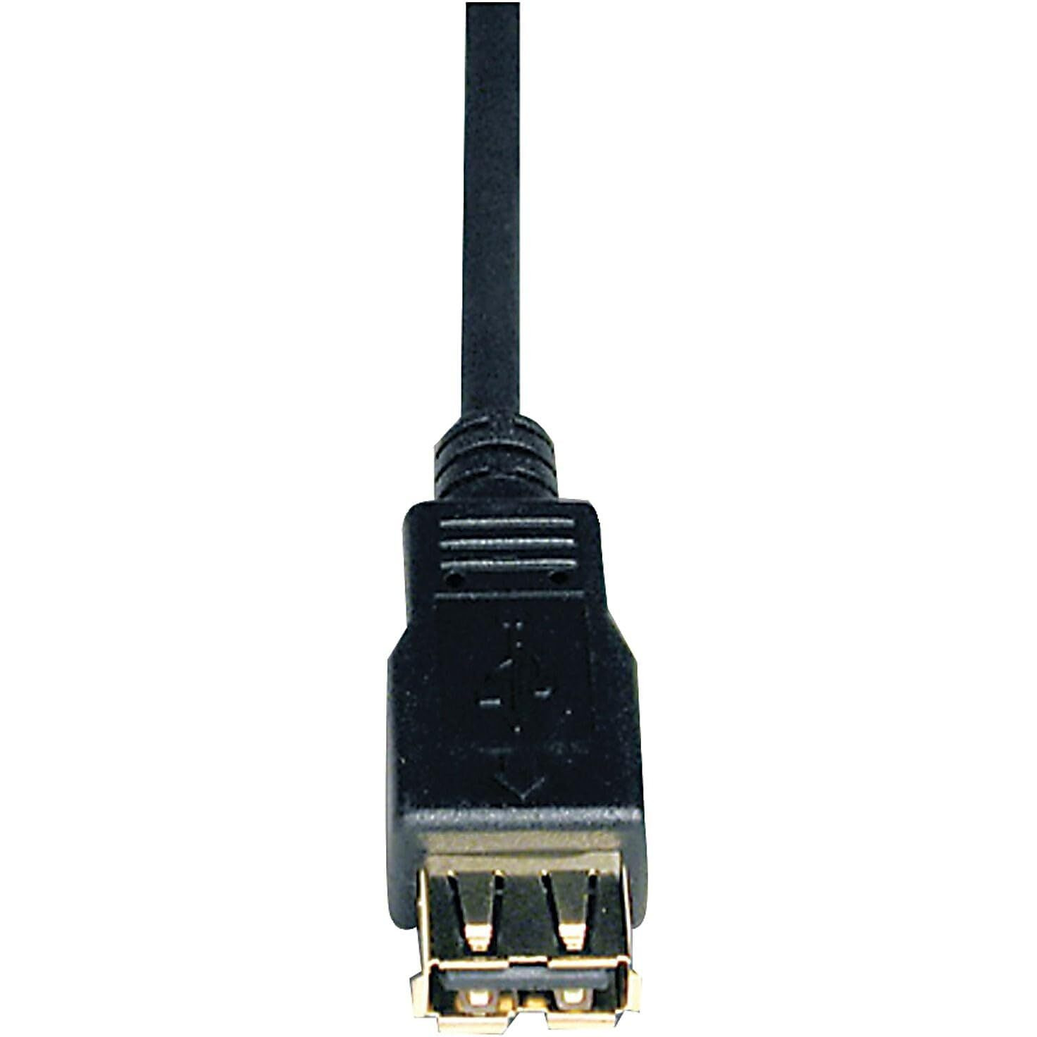Tripp Lite USB 2.0 Hi-Speed Extension Cable (A M/F), Black , 10-ft. (U024-010)