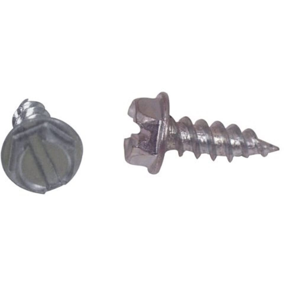 50PK 1-1/4' SCREWS