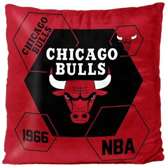 76ers OFFIcIAL NBA connector Double Sided Velvet Pillow 16 x 16(D0102H94DL7)