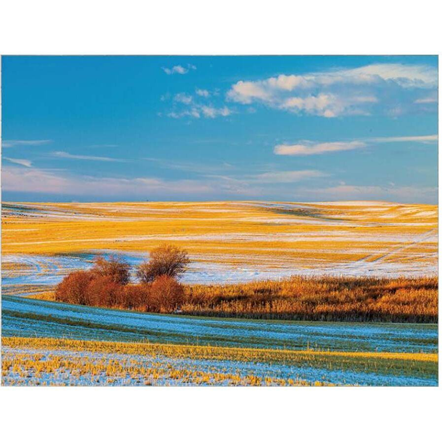 Grassland Backdrop Tapestry Landscape Bedroom Decorative Wall Tapestry Room Bedside Tapestry Painting Wall Art, 43x59 inch