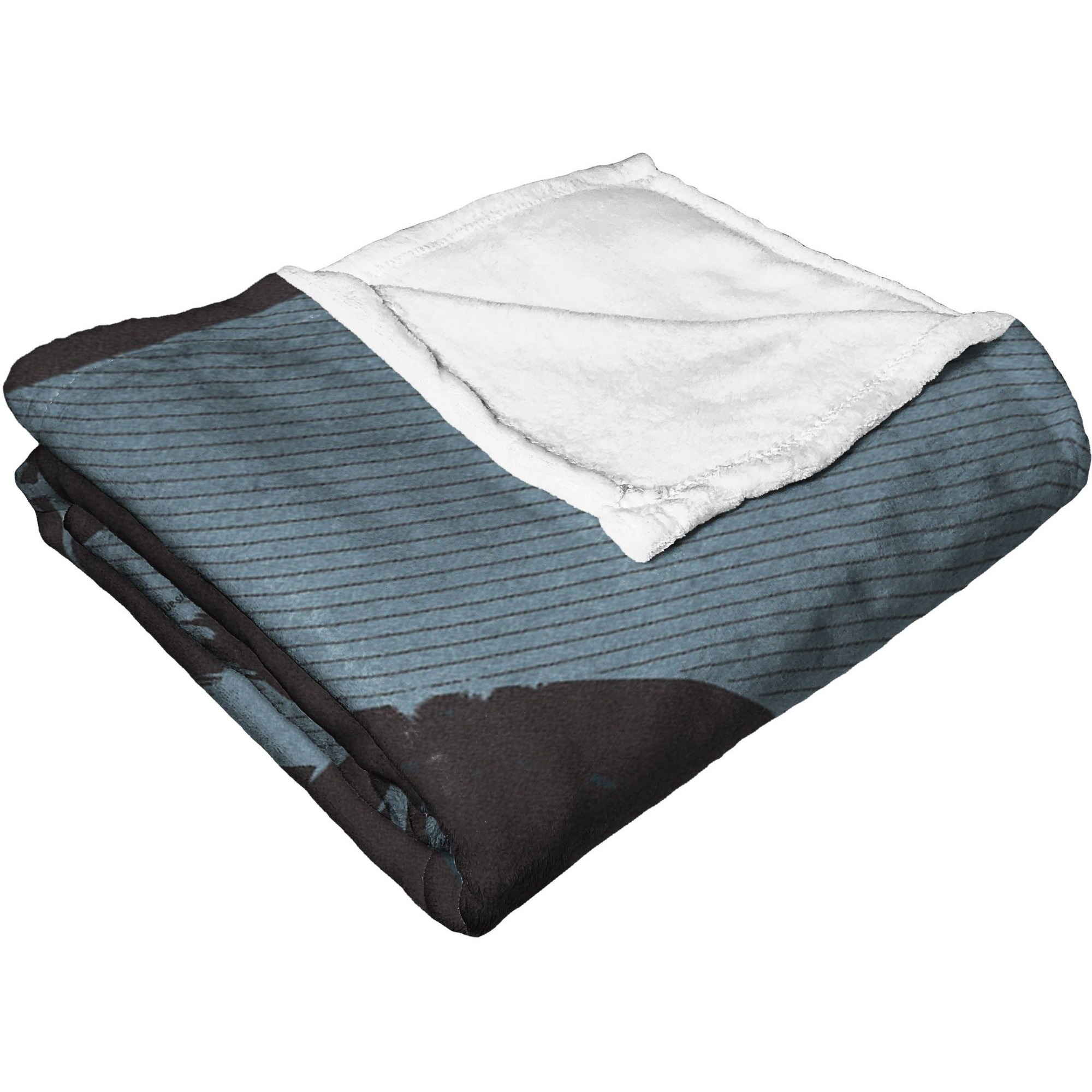 Dc comics Batman Silk Touch Throw Blanket, 50 x 60, The Bat and the cat(D0102H21g5Y)