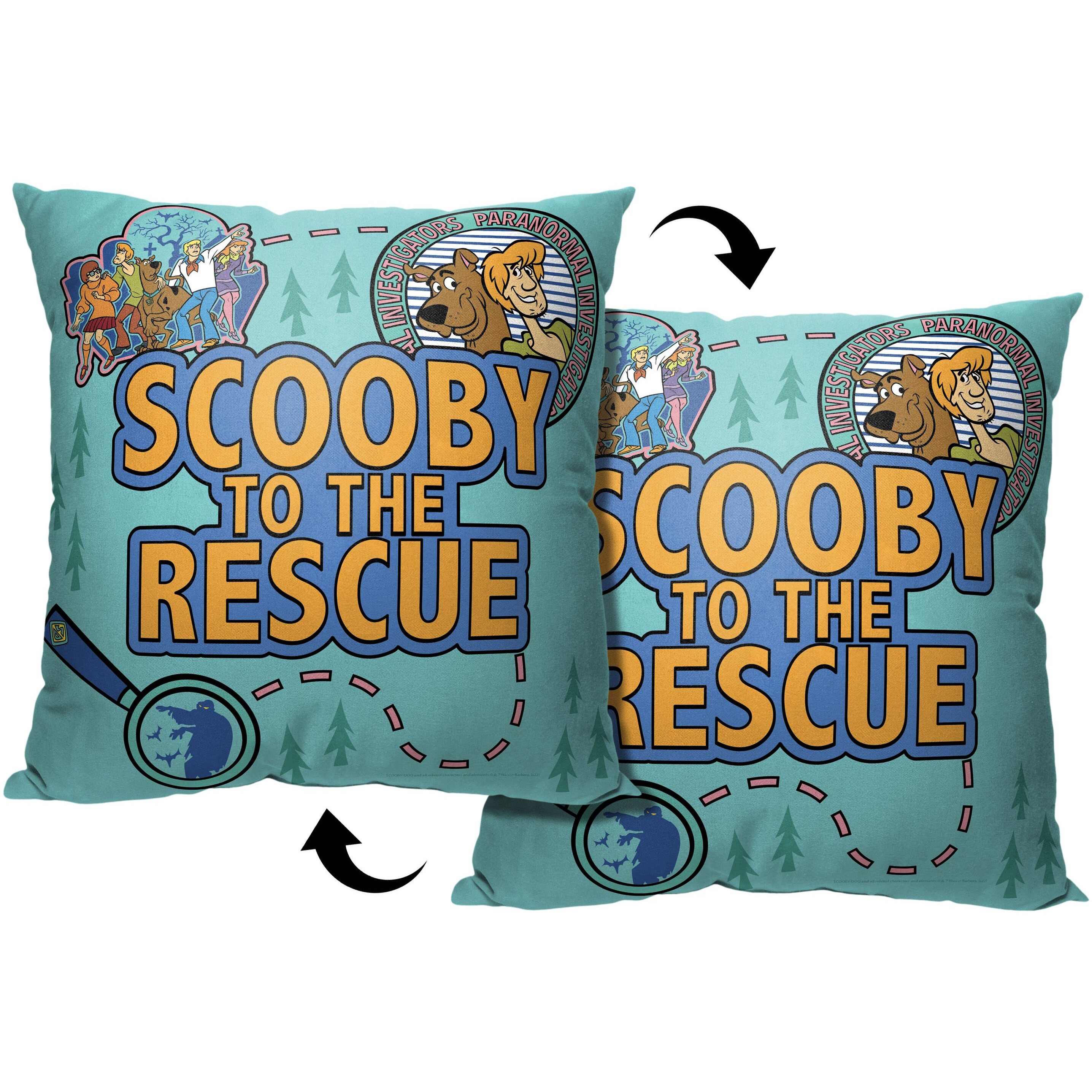 Scooby Doo Scooby to the Rescue