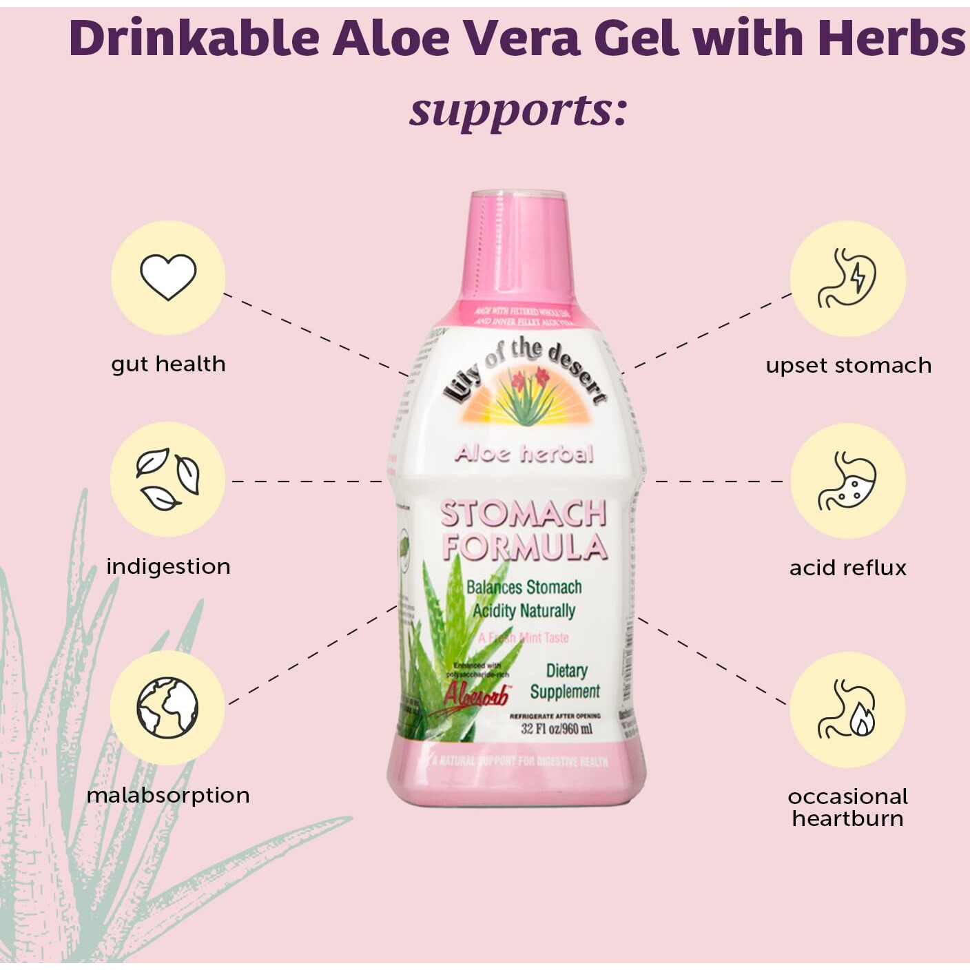 Lily Of The Desert - Aloe Herbal Stomach Formula Fresh Mint - 32 Fl Oz(D0102H5KJRP)