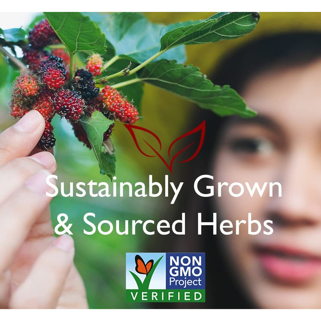 Bravo Teas And Herbs - Tea - Prostate Health - 20 Bag(D0102H5NYP2)