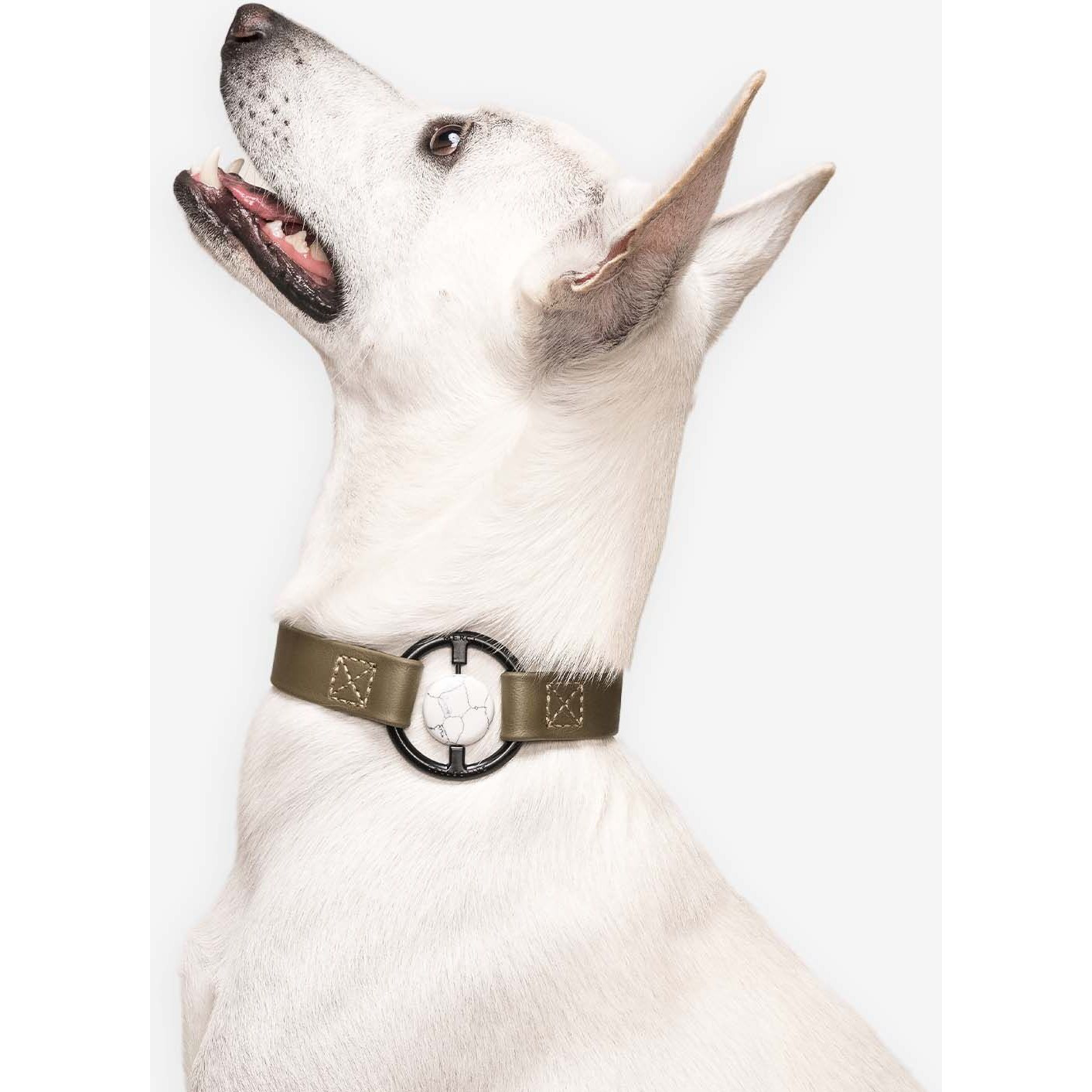 Luxury Spill-Proof Dog collar Embedded with Healing crystal(D0102H7SXNX)