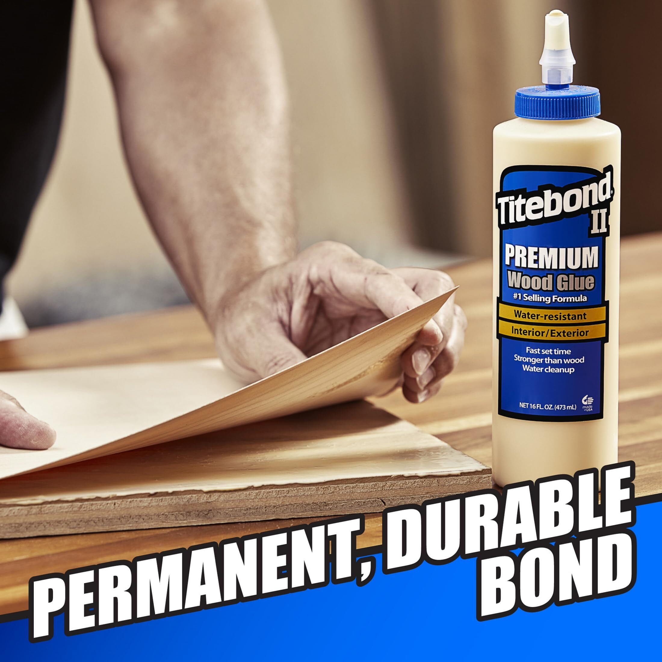 GLUE TITEBOND 2 8 OZ (Pack of 1)