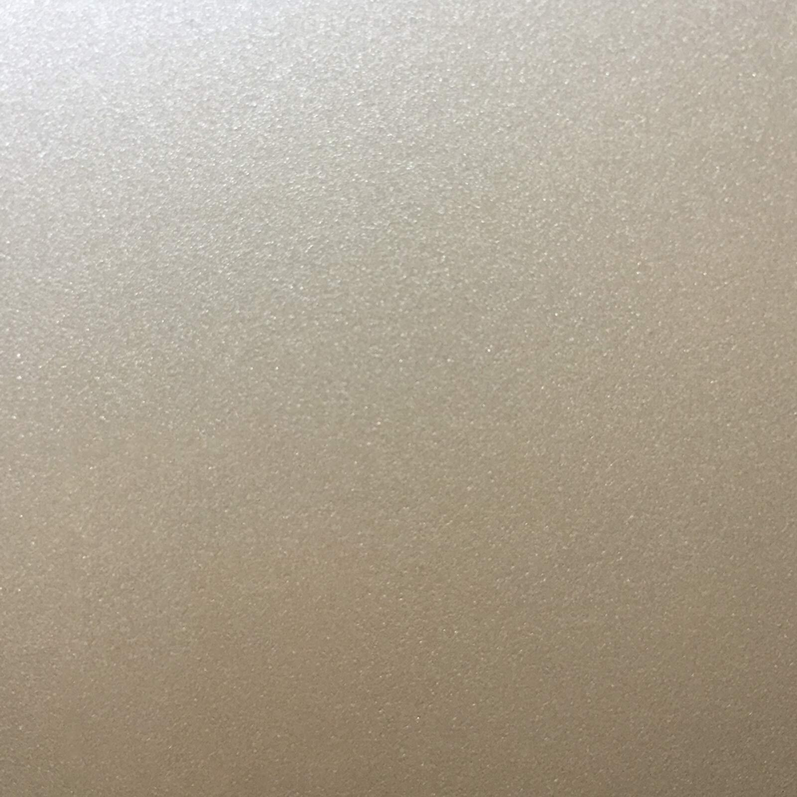 PAINT MTLC WARM SLV 6OZ (Pack of 1)