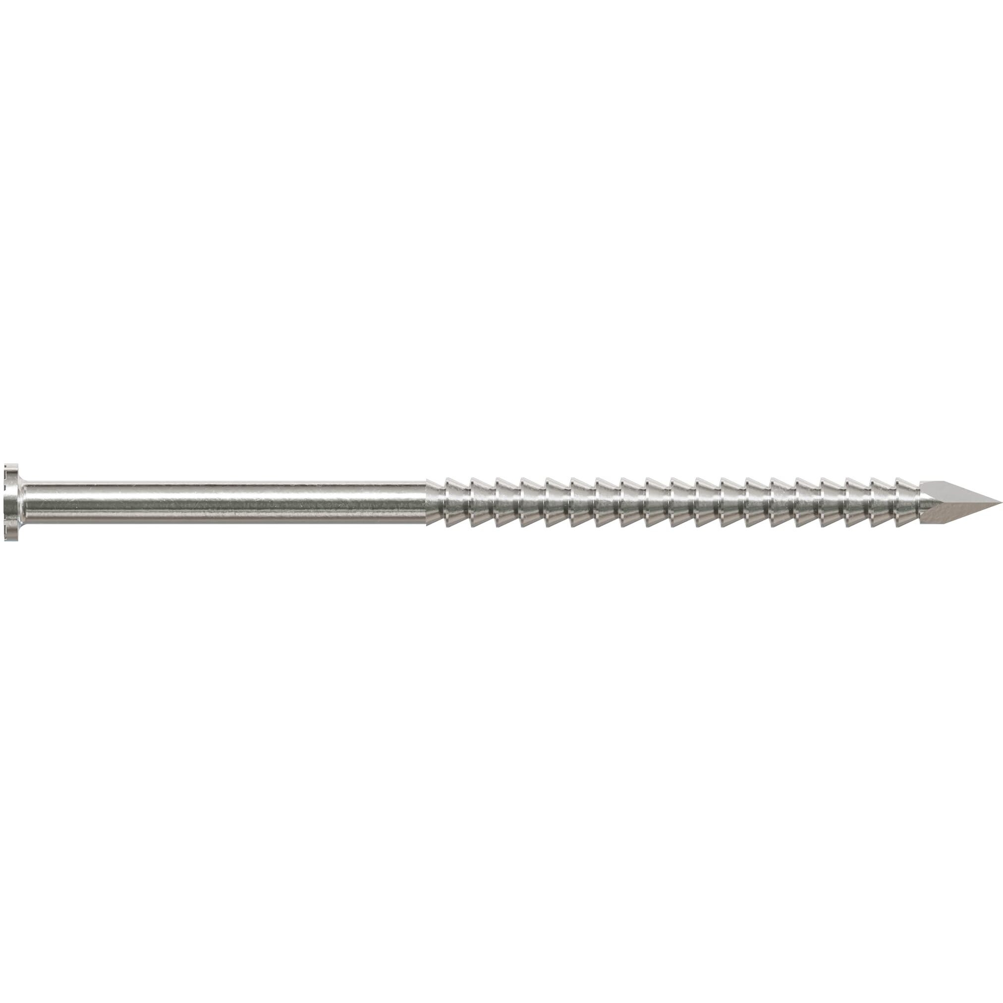NAIL SIDING SS 6D 1LB (Pack of 1)