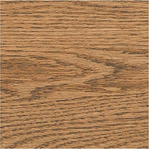 SPRAY STAIN GOLDEN OAK (Pack of 1)