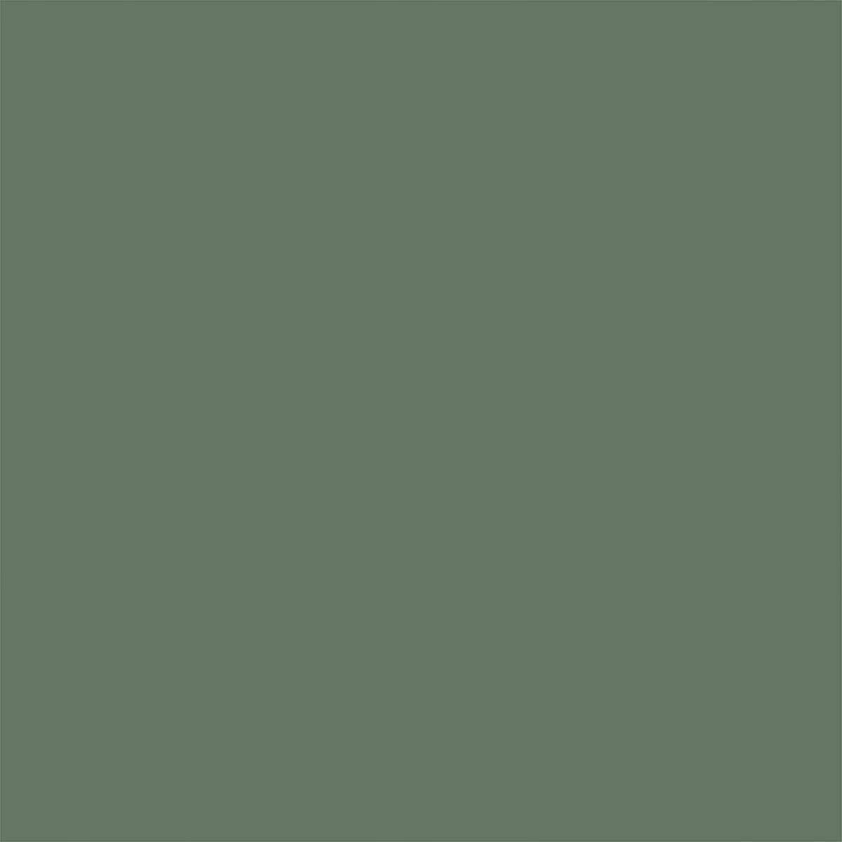 SPRYPNT 2X GLS SAGE 12OZ (Pack of 1)