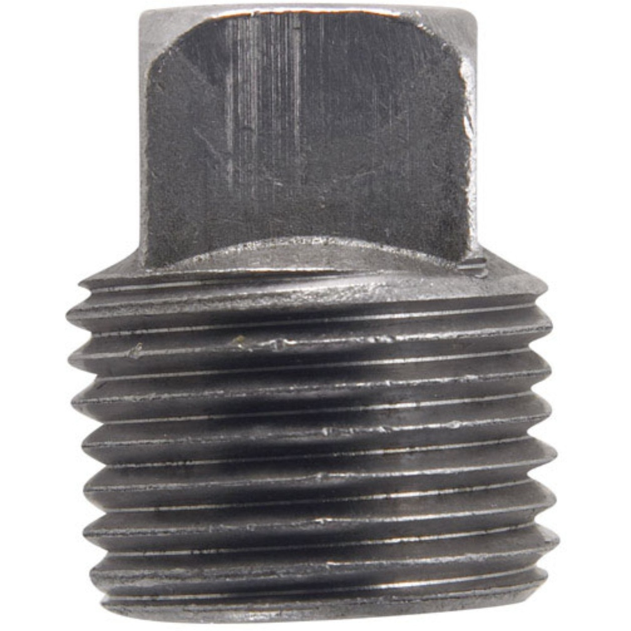 PLUG SQ HEAD 1/2"" BLACK (Pack of 5)