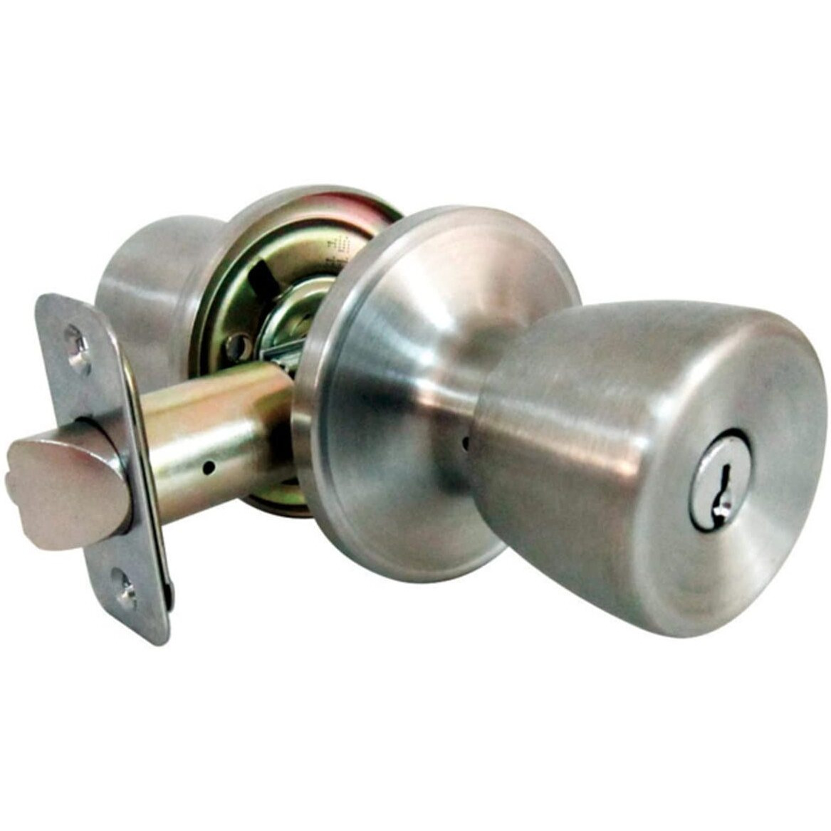 SS TULIP ENTRY KNOB (Pack of 1)