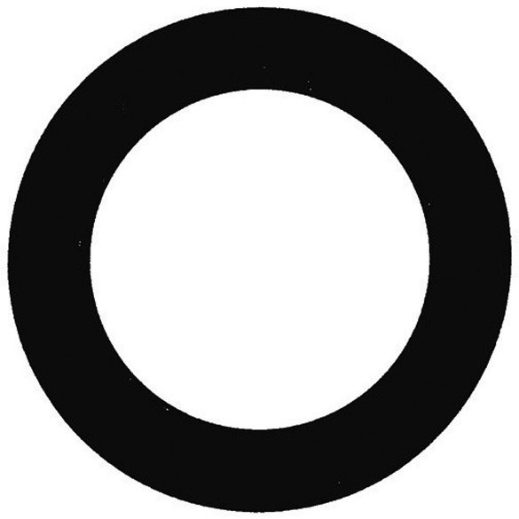 DIELECT UNION WASHER 1" (Pack of 10)