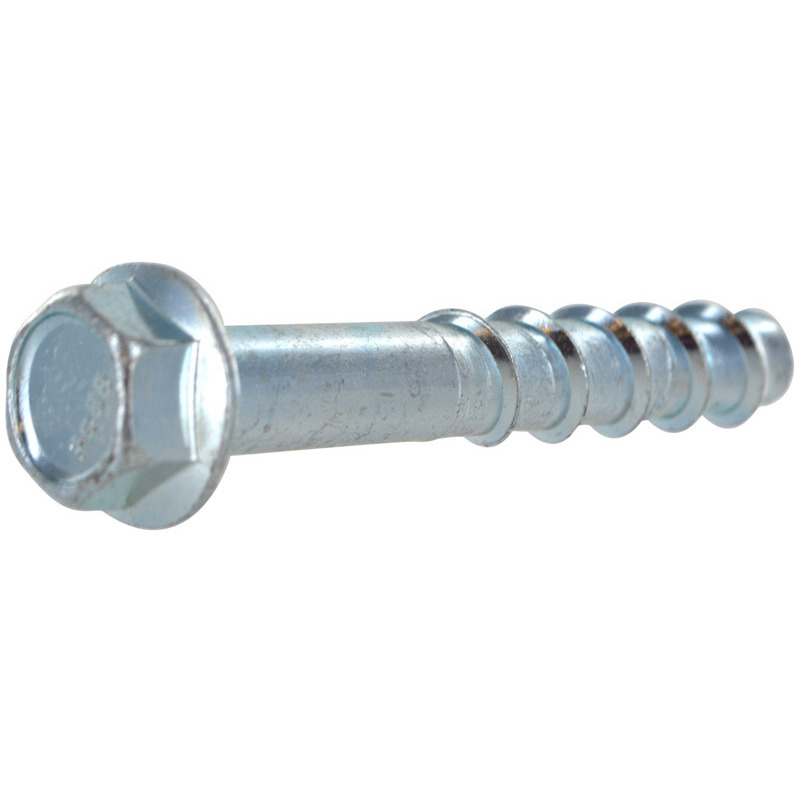 SCREW BOLT 1/2X2-1/2 10P (Pack of 1)