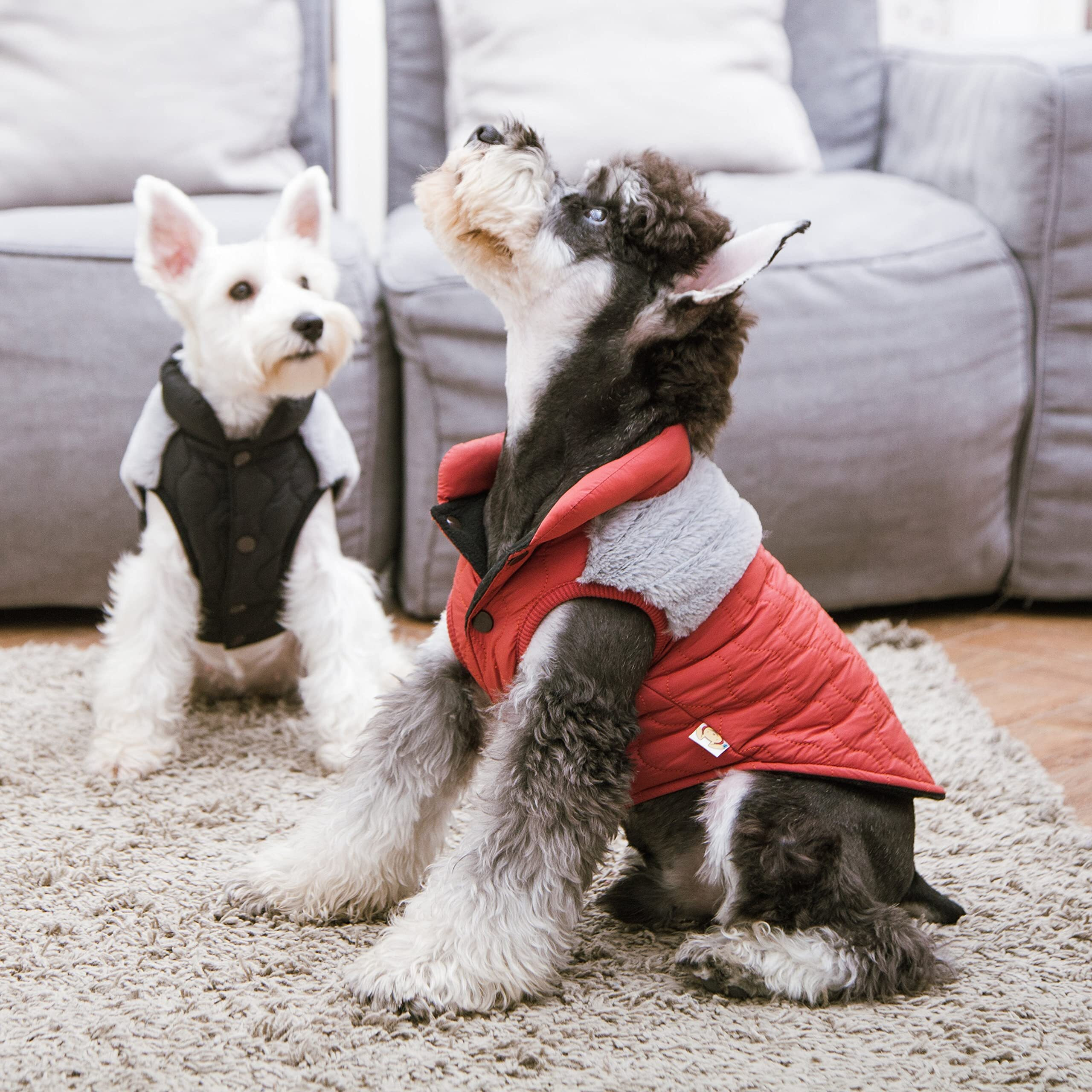 Touchdog Furrost-Bite Fur and Fleece Fashion Dog Jacket- X-Large/Black