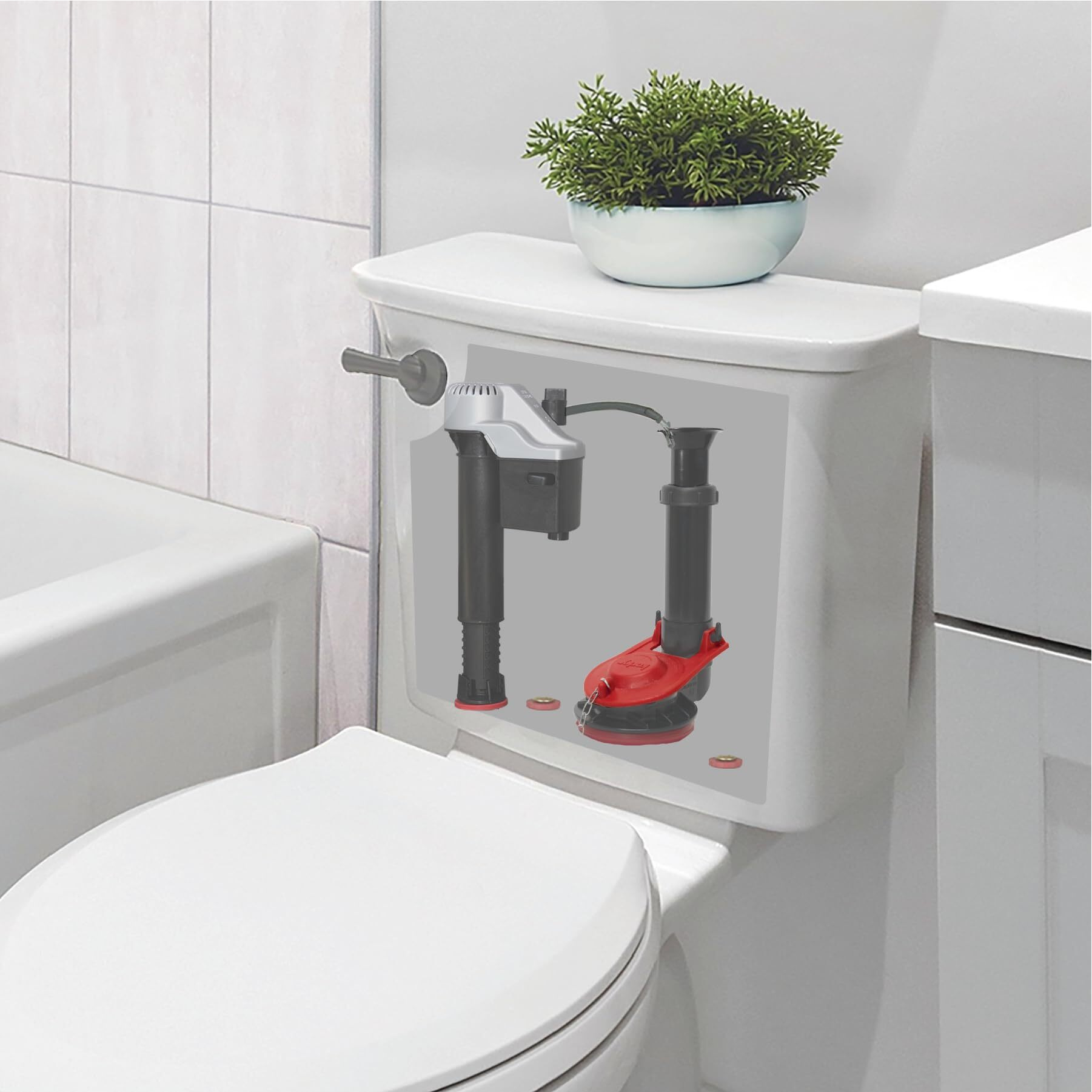 FLPPR & CHN RED (Pack of 1)