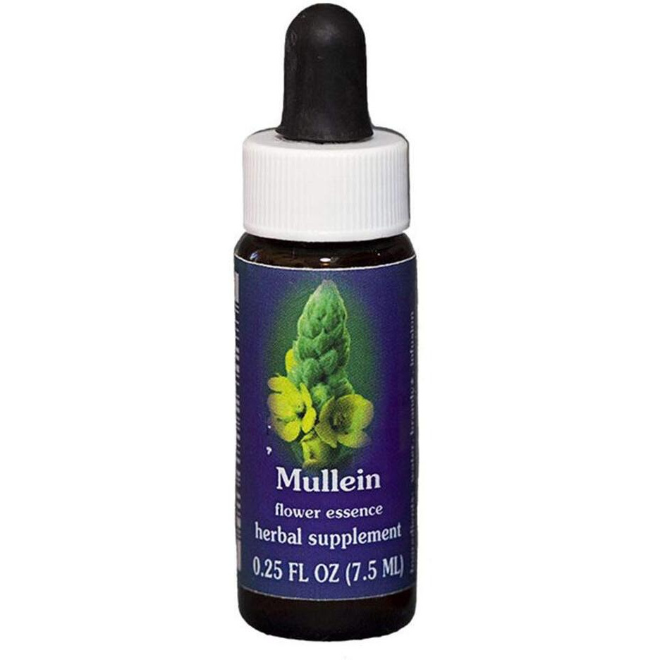 Flower Essence FES Quintessentials Mullein Supplement Dropper - 0.25 fl oz