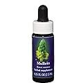 Flower Essence FES Quintessentials Mullein Supplement Dropper - 0.25 fl oz