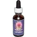 Flower Essence Services Quintessentials Supplement Dropper, Purple Monkey Flower, 0.25 Fluid Ounce