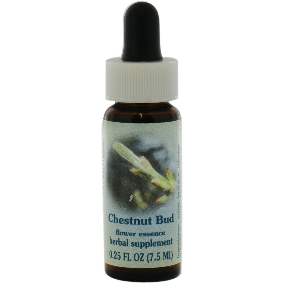FLOWER ESSENCE SERVICES Supplement Dropper, Chestnut Bud, 0.25 Fluid Ounce