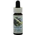 FLOWER ESSENCE SERVICES Supplement Dropper, Chestnut Bud, 0.25 Fluid Ounce
