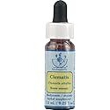 Flower Essence Services Supplement Dropper, Clematis, 0.25 Fluid Ounce
