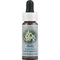 Flower Essence Services Supplement Dropper, Holly, 0.25 Ounce