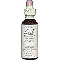 Cerato 20ml from Bach Flower Remedies
