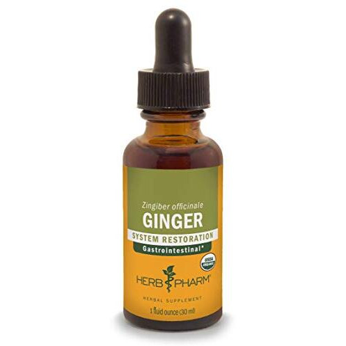 Herb Pharm Certified Organic Ginger Liquid Extract for Digestive Support - 1 Ounce