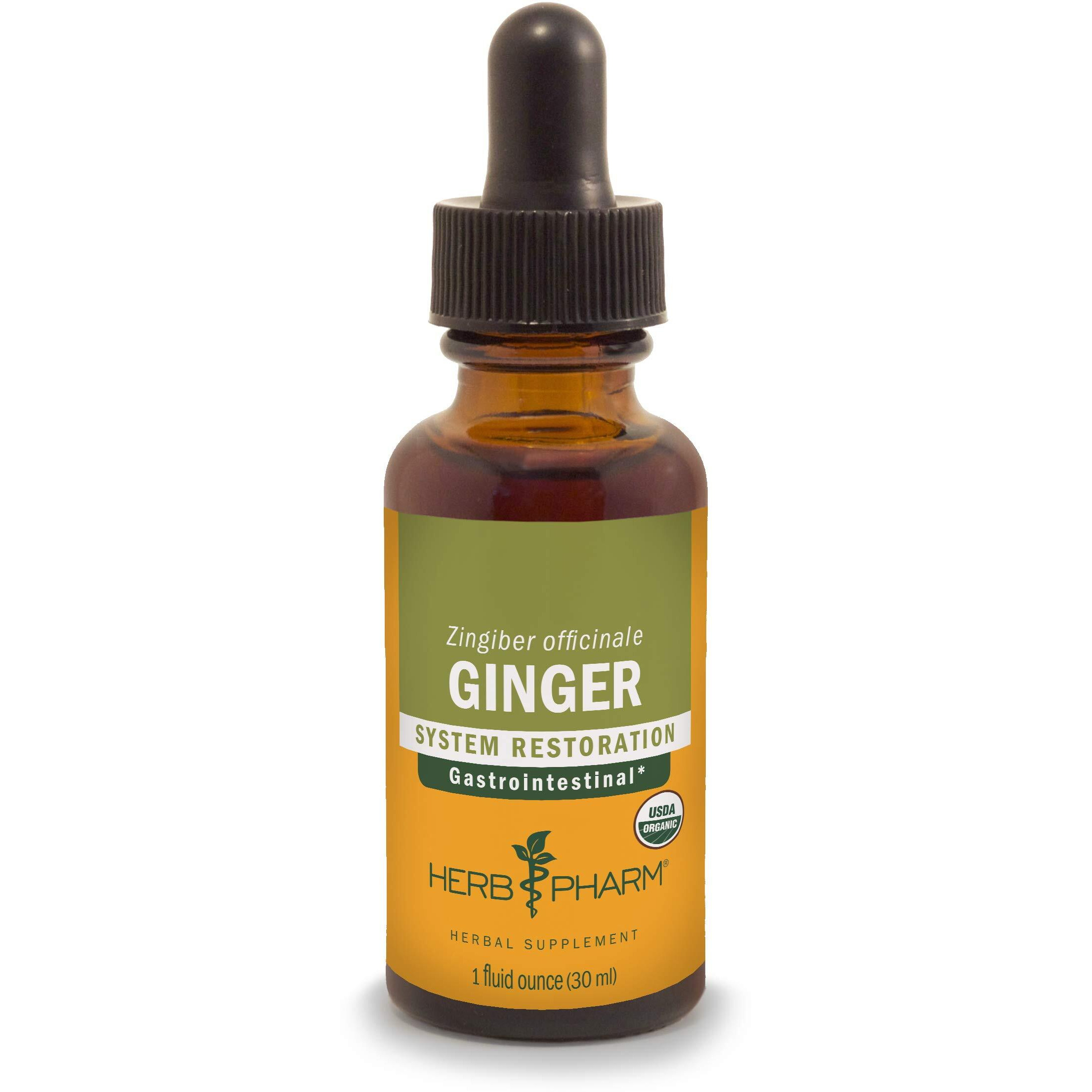 Herb Pharm Certified Organic Ginger Liquid Extract for Digestive Support - 1 Ounce