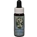 Water Violet Essence 7.40 Milliliters
