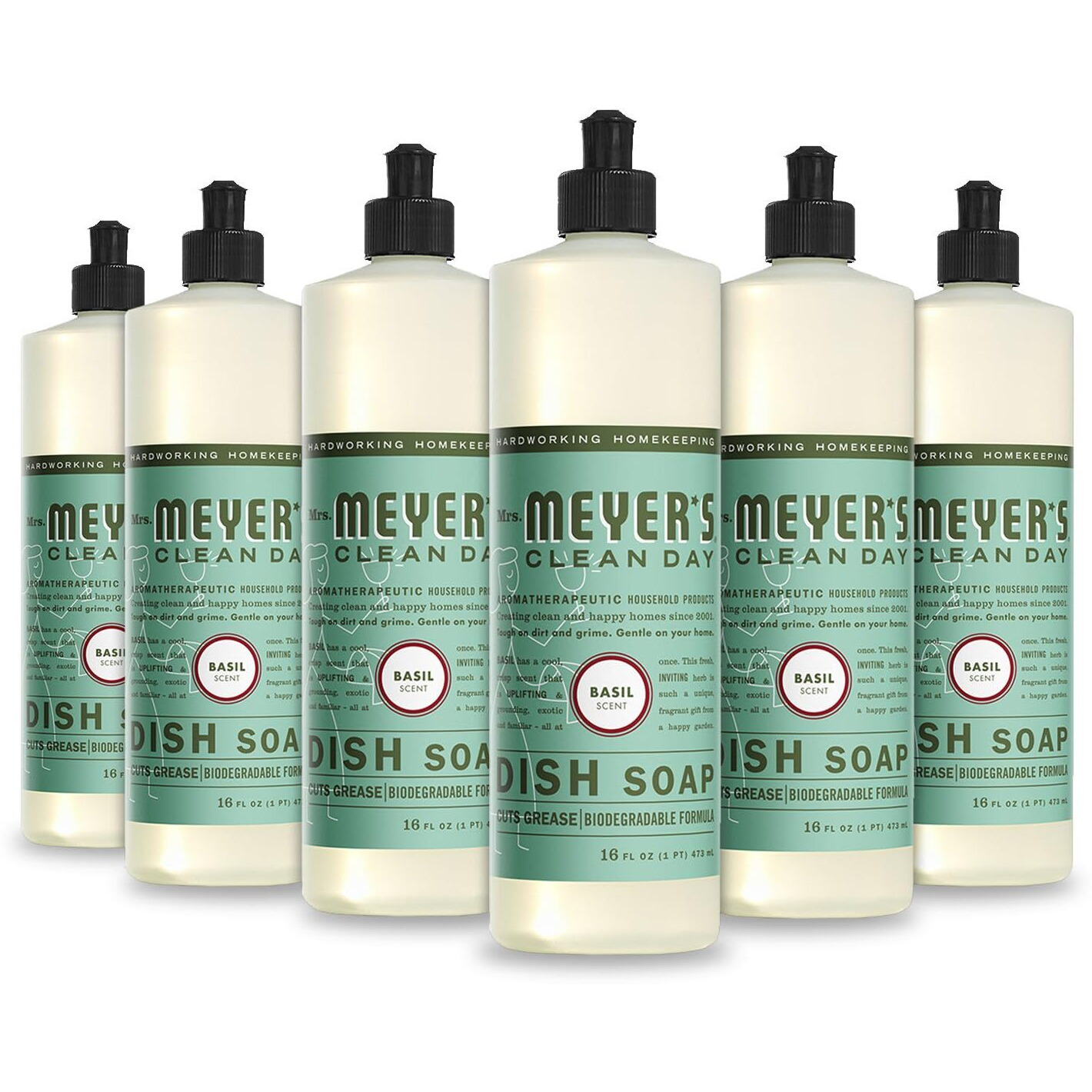 MMCD LQD DISH SOAP BSL (Pack of 6)