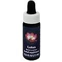 FLOWER ESSENCE SERVICES, Lotus Dropper - 0.25 oz