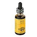 Olive Leaf Extract