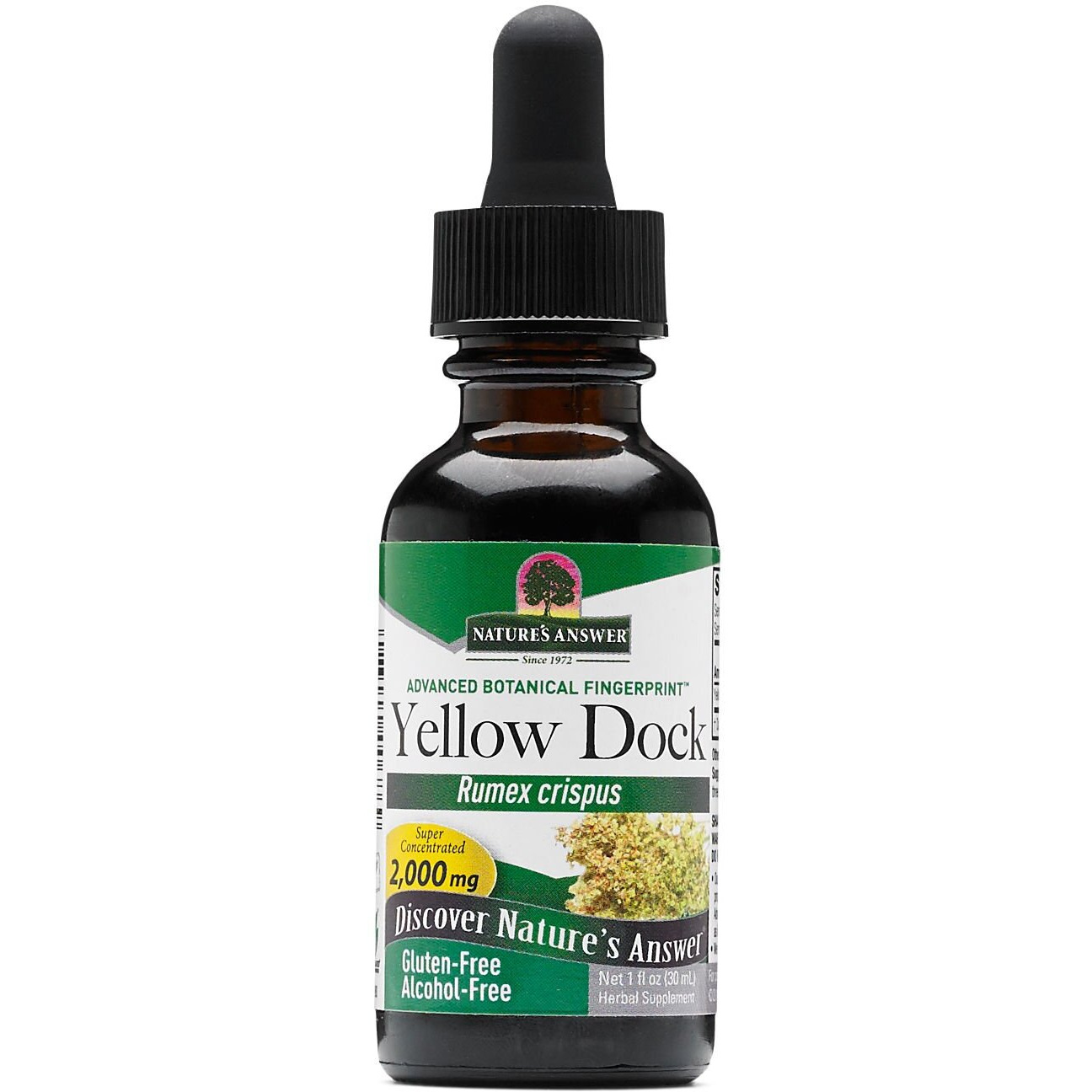 Natures Answer - Yellowdock Root - 1 Fl Oz(D0102H5W8cT)