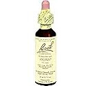 Bach Flower Olive